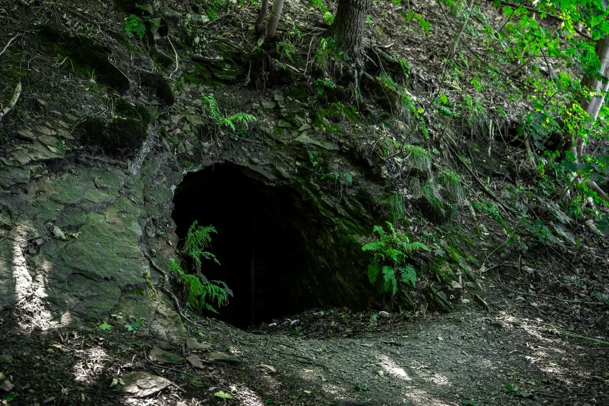 Comparing Badger Setts, Fox Earths and Rabbit Warrens
